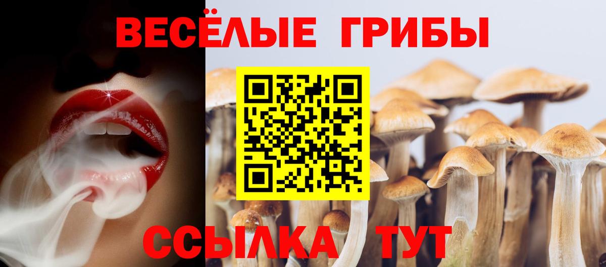 Муром  Галлюциногенные грибы MAGIC MUSHROOMS  Галлюциногенные грибы Magic Shrooms  Вход с VPN 
