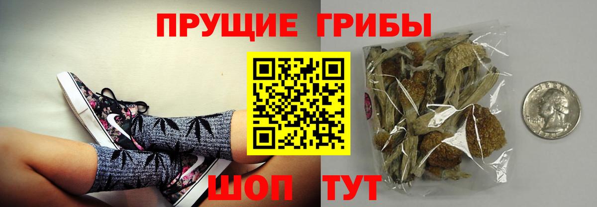 Псилоцибиновые грибы прущие грибы Муром